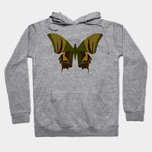 beautiful butterfly Hoodie